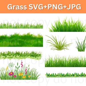 May include: A set of ten digital illustrations of different types of green grass. The illustrations include a variety of grass blades, textures, and styles, such as short, tall, and bushy grass.