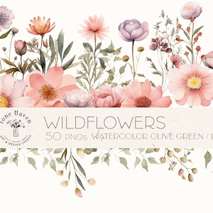 Watercolor Wildflowers PNG Transparent Background Wild Flowers Clipart Floral Clipart DIY Clipart Watercolor Clipart Spring Flowers