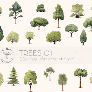 Bos Bomen Clipart Uitsnede Bomen PNG Architectuur Renderelementen Bosbomen Individuele bomen Architectuur Student