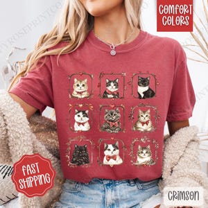 Valentine Cats Shirt Comfort Colors, Valentine&#39;s Day Women&#39;s Tee, Cat Lover Women&#39;s Tshirt, Retro Cat Frame Tee, Vday Cats Tshirt