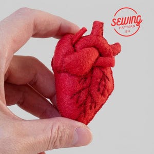 Molde para costura de coração anatômico - Coração de feltro para presentear médicos, tutorial em PDF, costura à mão