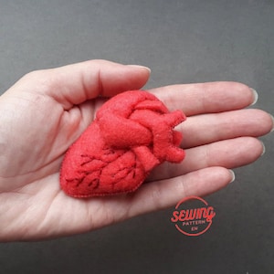 Anatomical hotsell heart pillow