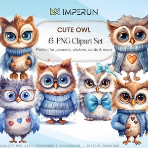 Eule Clipart-Set | Aquarell Eulen in Outfits | 8 PNG gekleidete Vögel Illustrationen | Skurrile Tier Clipart | Digitaler Download