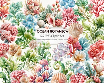 Ocean Botanica Clipart PNG, Seaweed & Seashell Bundle, Coastal Floral Graphics, Digital Download