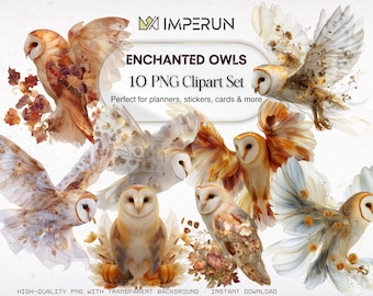 Ensemble de cliparts aquarelle hibou : illustrations de chouette effraie des cloches enchantée (téléchargement numérique)