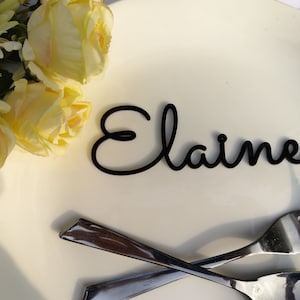 Cartes de lieu de mariage, cartes de nom de mariage, étiquettes de nom, cartes de table de lieu de mariage personnalisées