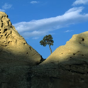 Wyoming Ghost Town Print - Cody Yellowstone Wyoming Photo Unique Rock Formations on Canvas, Paper, Acrylic, Metal - Read More About It