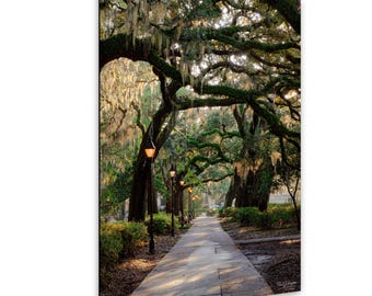 Savannah Forsyth Park, Live Oaks & Spanish Moss - Early Morning Cottagecore art