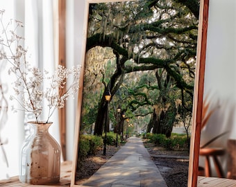 May include: A framed landscape photograph of a tree-lined pathway. The image features a stone walkway leading into the distance, flanked by large trees with hanging moss. The frame is made of wood, and the scene is bathed in sunlight.