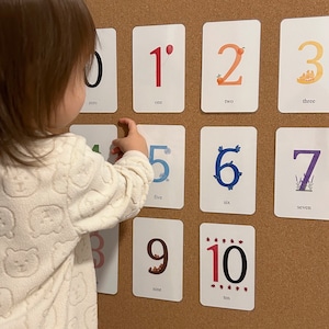 赤ちゃん・幼児向けラミネート加工数字カード11枚（0～10歳）｜学習用フラッシュカード｜カラフルなモンテッソーリカード｜幼児向け語彙学習