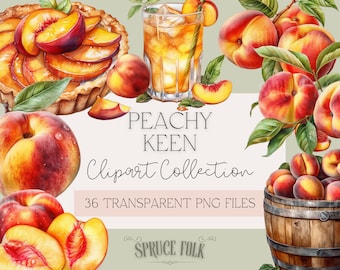 Watercolor Peach Themed Clipart | Collection of 36 | Peachy Keen Collection