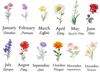 Birth Month Watercolor Flowers Clipart Bundle, Birth Flowers, Transparent PNG, Card Making, DIY Birth Flowers, Commercial Use