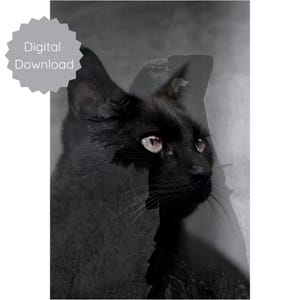 Arte mural de energía de gato negro / Descarga digital / Impresión instantánea /