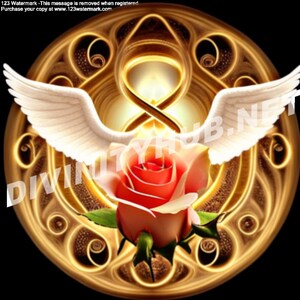 May include: A golden infinity symbol with wings and a red rose in the center. The background is black.