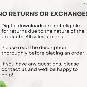 UGC Creator Contract Template UGC Template Professional UGC Contract