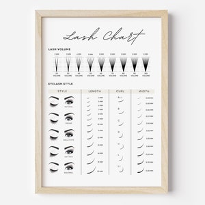 Digital Lash Chart Guide, Printable Lash Poster, Eyelash Extension Decor, Editable Esthetician Lash Style Chart Display, Canva Template