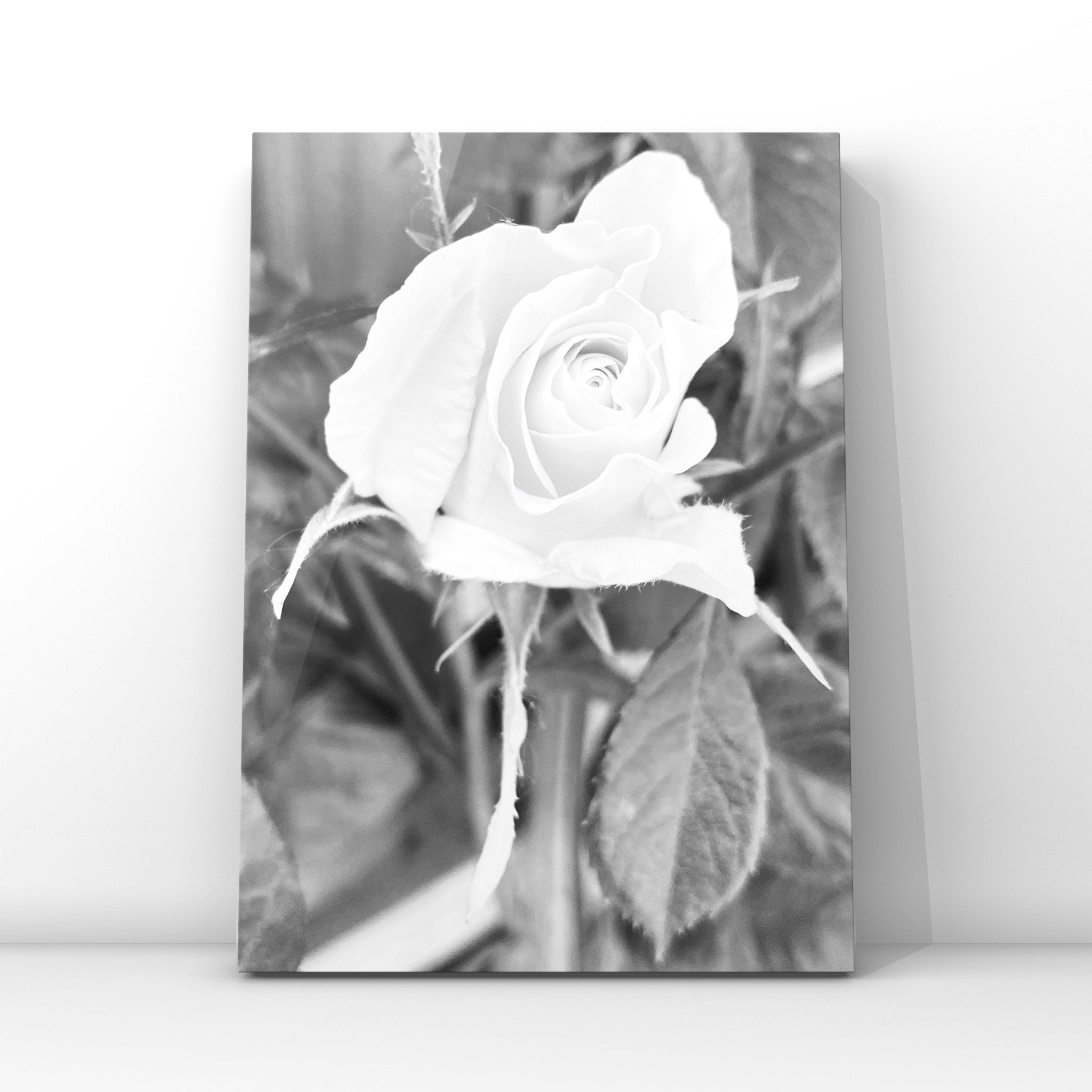 Printable Black and White Flower Photo Art, Printable Flower Photo ...