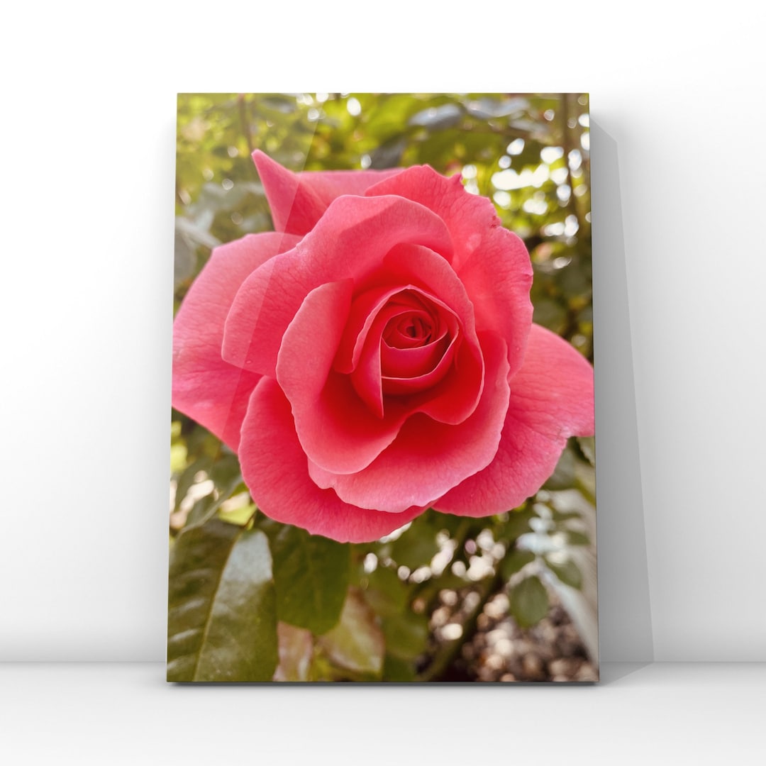 Pink Flower Wall Art, Printable Pink Flower Photo Art, Printable Flower