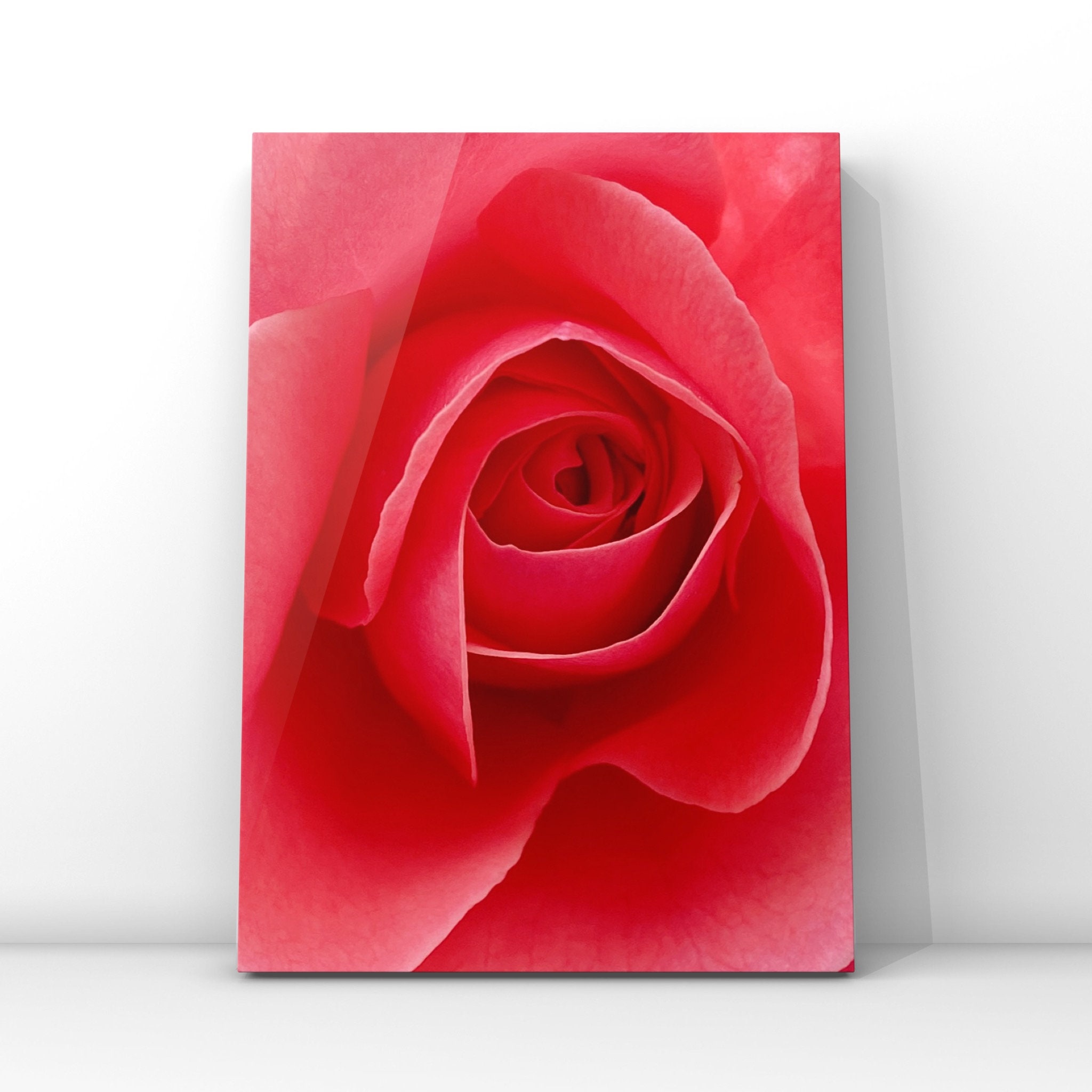 Pink Flower Wall Art, Printable Pink Flower Photo Art, Printable Flower