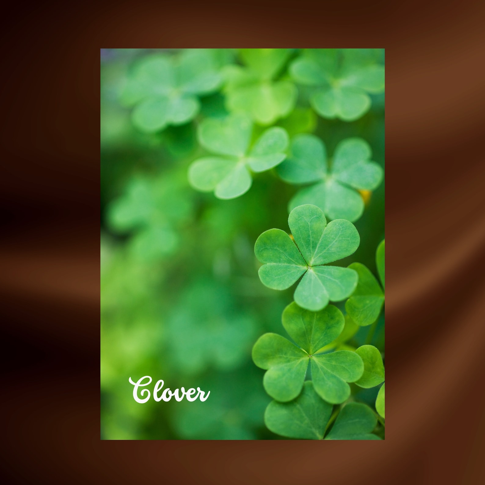 PRINTABLE Lenormand Deck Special Design Timeless Lenormand - Etsy