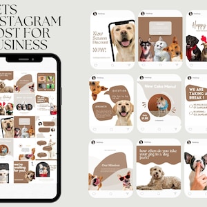 Pets Instagram Post Template Pet Instagram Story Template Pets Instagram Templates, Posts for Grooming Business & Pet Shops Pet Social Media