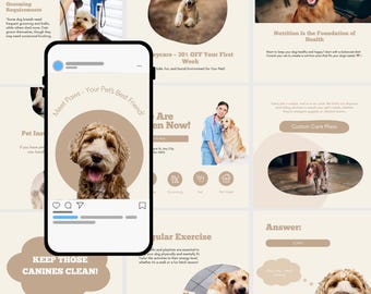 Pets Instagram Post Template Pet Instagram Story Template Pets Instagram Templates, Posts for Grooming Business & Pet Shops Pet Social Media