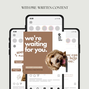 May include: A brown and white dog peeks over a brown and white Instagram post with the text "we're waiting for you." The post is on a smartphone screen with the text "THE PET SHOP" in the top right corner. The post also includes the text "DELIVERY AVAILABLE! WWW.REALLYGREATSITE.COM".