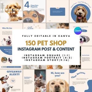 Pets Instagram Post Template Pet Instagram Story Template Pets Instagram Templates, Posts for Grooming Business & Pet Shops Pet Social Media