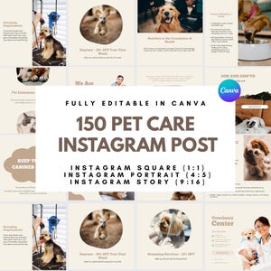 Pets Instagram Post Template Pet Instagram Story Template Pets Instagram Templates, Posts for Grooming Business & Pet Shops Pet Social Media