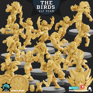 Équipe elfe de Fantasy Football de Realm of Paths - « The Birds »