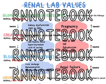 Handwritten Nursing Nervous System Study Guide | 1 Page Digital ...