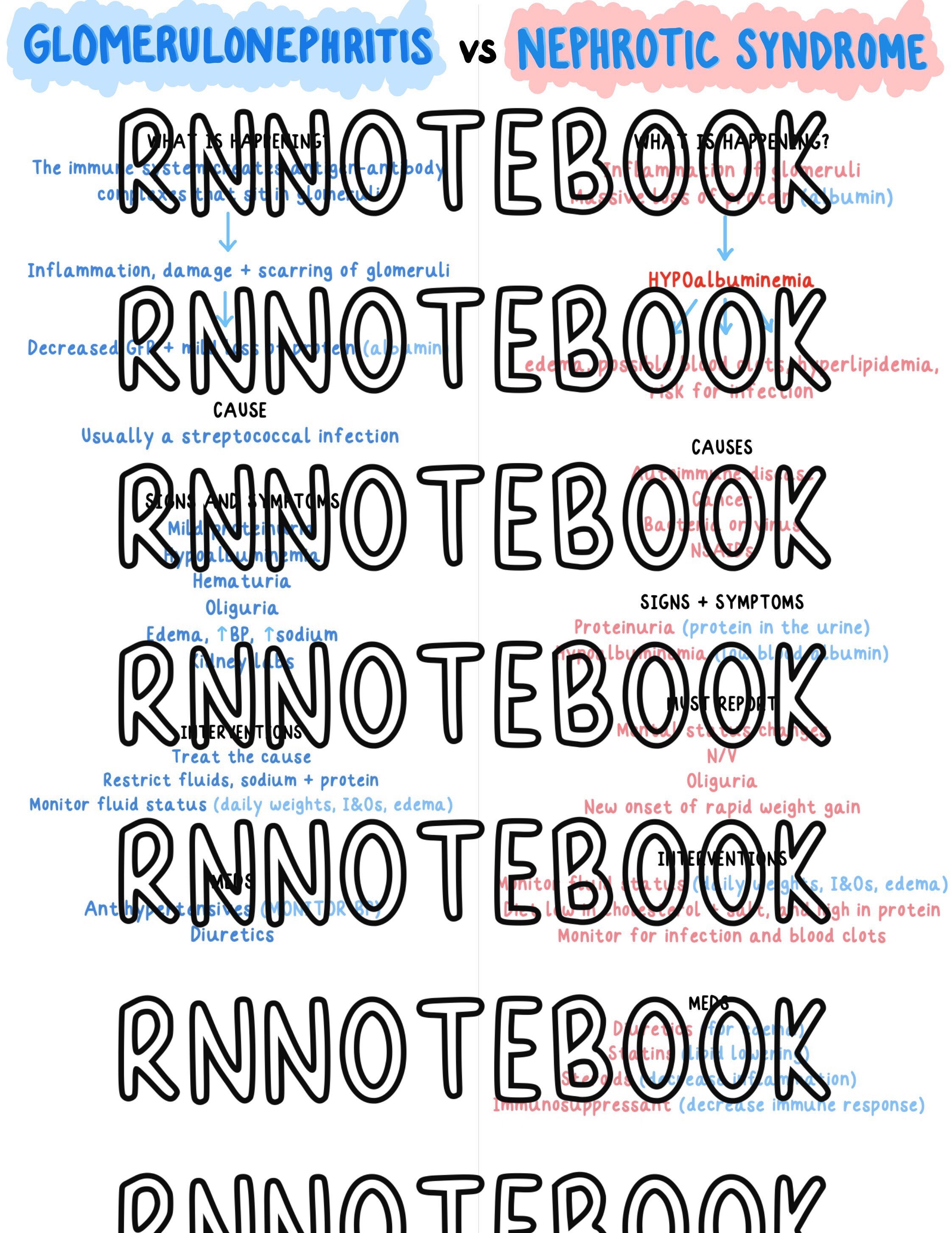 Nursing Study Guide: Glomerulonephritis/nephrotic Syndrome | 1 Page ...