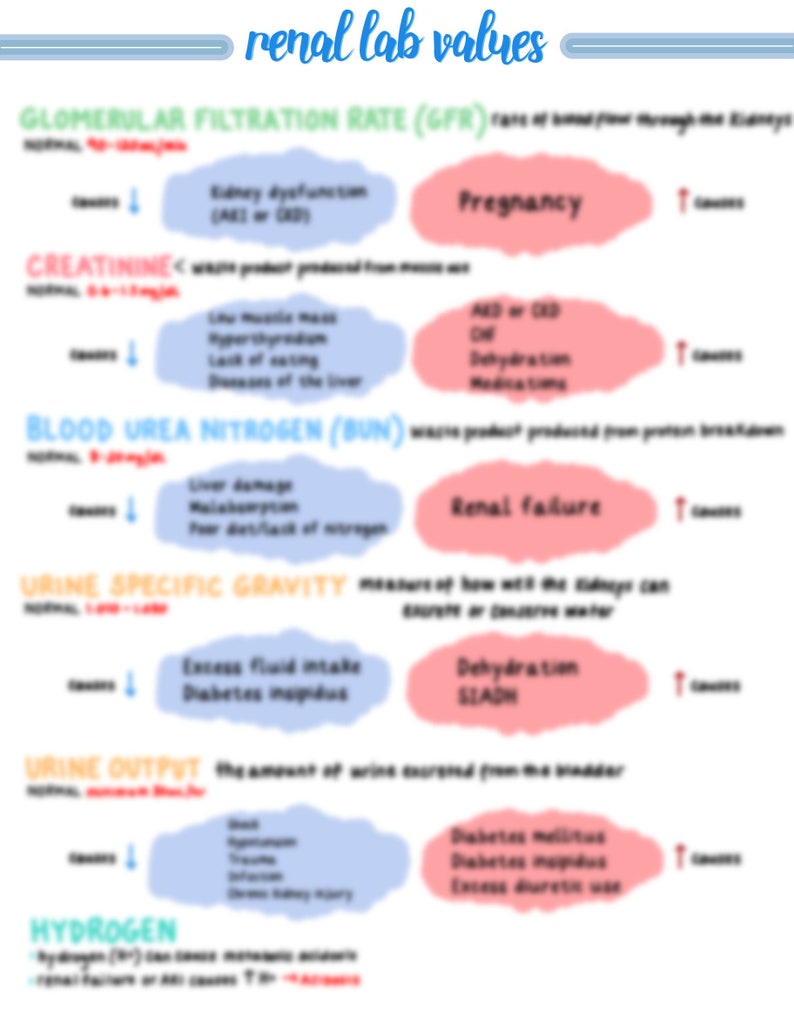 Handwritten Nursing Renal Lab Values Study Guide 1 Page - Etsy