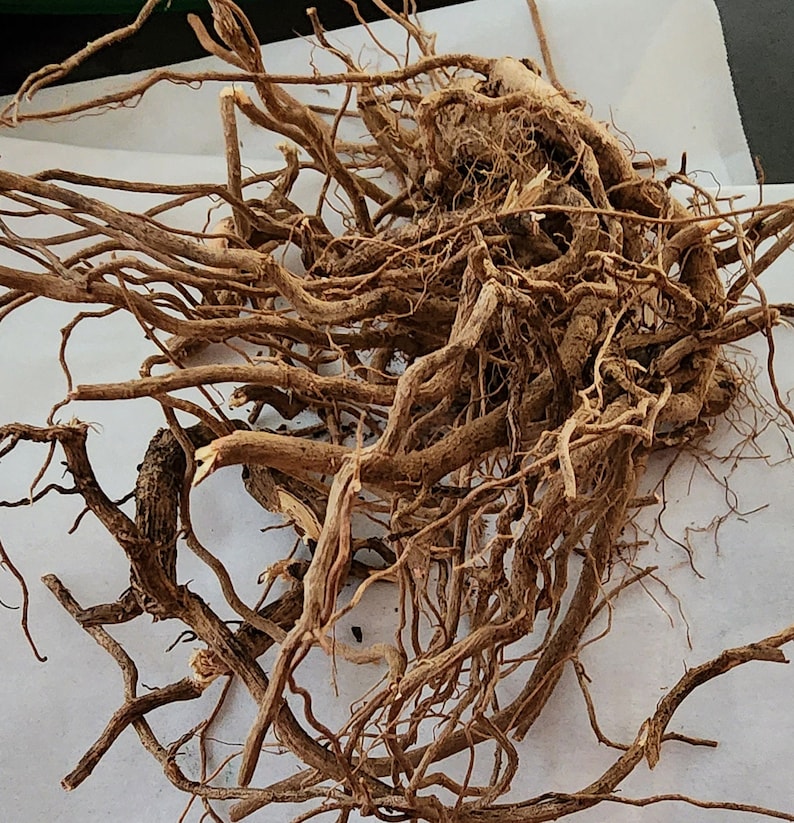 Dried Ashwagandha root is used for herbal teas.