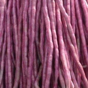 May include: A bunch of long, thin, purple string beans. The beans are tightly packed together and have a slightly wrinkled texture.