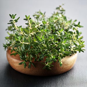 May include: Fresh thyme sprigs in a small, round wooden bowl. The thyme has small, green leaves and is a vibrant green color. The bowl is made of light brown wood and sits on a dark gray surface. The image is a close-up shot.