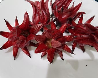 Roselle Seeds- 30 - Hibiscus sabdariffa