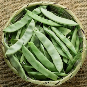 May include: A round woven basket filled with fresh, light green flat beans. The beans are a vibrant green color and have a smooth texture. The basket is made of a light brown woven material, and the background is a burlap texture.