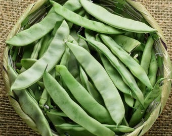 May include: A round woven basket filled with fresh, light green flat beans. The beans are a vibrant green color and have a smooth texture. The basket is made of a light brown woven material, and the background is a burlap texture.