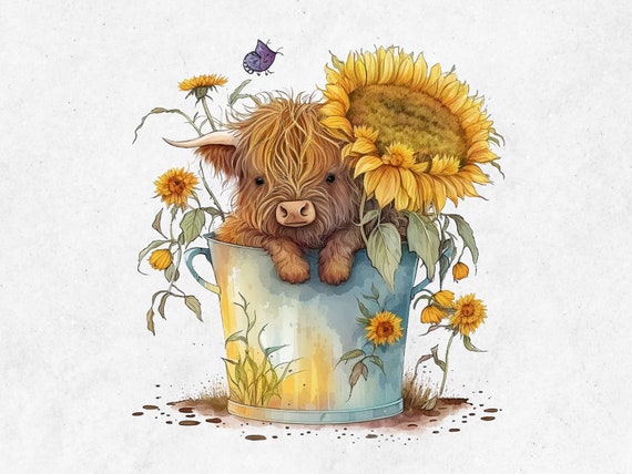 Highland Cow with Sunflowers Watercolor PNG for (2532107)