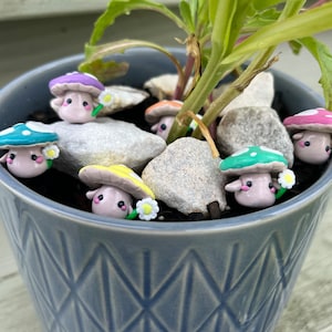 Little mushroom (fairy garden, friend or desk pet)