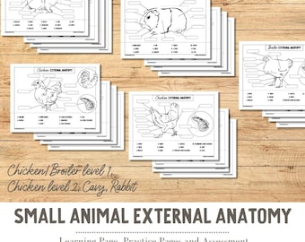 May include: A collection of black and white educational worksheets titled Small Animal External Anatomy, featuring diagrams of a rabbit, cavy, and chickens with labeled parts and blank boxes for identification, measuring 8.5 by 11 inches.