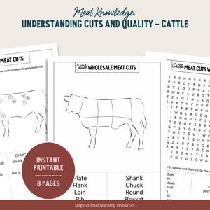 Puede incluir: Una hoja de trabajo imprimible en blanco y negro con un diagrama de una vaca que muestra los diferentes cortes de carne al por mayor. La hoja de trabajo incluye un crucigrama con los nombres de los cortes de carne. El texto "Meat Knowledge: Understanding Cuts and Quality - Cattle" está en la parte superior de la página.