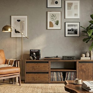 May include: A tan leather armchair with a wooden frame, a brass floor lamp, and a wooden media console featuring drawers and open shelving for vinyl records. The wall displays four framed prints, and a green potted plant sits on the console.
