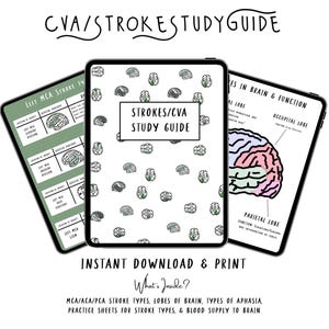 Puede incluir: Una guía de estudio digital para accidentes cerebrovasculares (ACV) y accidentes cerebrovasculares (ACV) con una ilustración del cerebro y el texto "STROKES/CVA STUDY GUIDE". La guía incluye información sobre los tipos de ACV, los lóbulos del cerebro, los tipos de afasia, hojas de práctica para los tipos de ACV y el suministro de sangre al cerebro.