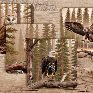 Wildlife Mix Coaster Design Set, Sublimation Coaster PNG, Coaster Sublimation, 4in x 4in Set of 4, 300 DPI Png, Hawk, Owl,Eagle,Vulture Png