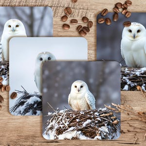 Snow Owl Sublimation Coaster Design Set, Sublimation Coaster PNG, Coaster Sublimation, Owl PNG, 4in x 4in Set of 4, 300 DPI Png, Nesting Owl