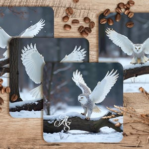 Snow Owl Sublimation Coaster Design Set, Sublimation Coaster PNG, Coaster Sublimation, Owl PNG, 4in x 4in Set of 4, 300 DPI Png, White Owl
