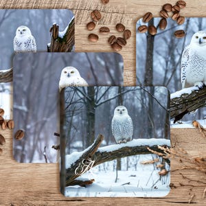 Snow Owl Sublimation Coaster Design Set, Sublimation Coaster PNG, Coaster Sublimation, Owl PNG, 4in x 4in Set of 4, 300 DPI Png, White Owl