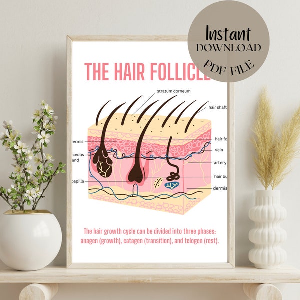 Hair Follicle Anatomy | Esthetician Decor | Med Spa Decor | Nurse Gift | Spa | Salon | Medical Office | Skincare | Wall Art | Social Media